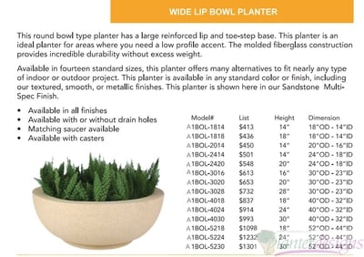 Wide Lip Bowl planter