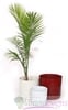 Architectural Cylinder Planters COMPACT HIGH STACKABLE Per / case