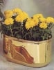Architectural Rectangular Planters Traditional Oblong Planters Curvilinear Smooth (OBG)