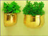 Oriental Wall Mounted