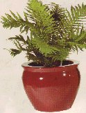 Oriental Fish Bowl Porcelain Planters
