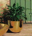 Seamless Bowl, Style Planters