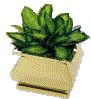 French Curve Planter Square