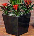 Venetian Square  Planters