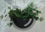 Fiberglass Wall Pot Planters