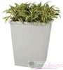 Square Rimmed Tapered Planters