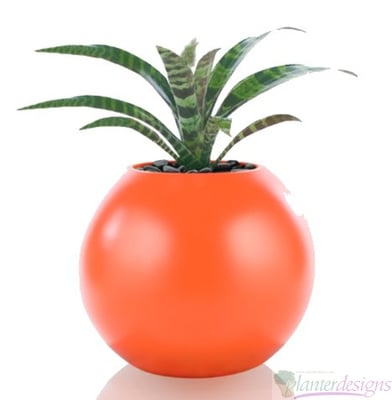 Fiberglass Sphere planters - Sculptures