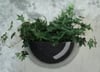 Fiberglass Wall Pot Planters