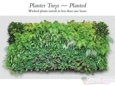 Living Walls-Plant Trays-Modular Plant System