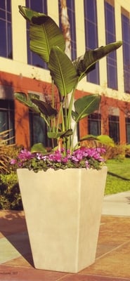 Tall Venetian Fiberglass Planters