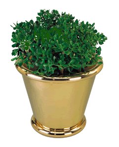 Solid brass planter - planted