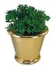 Cone Planter