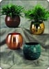 Architectural Bowl Planters Bulb Planter, Plain