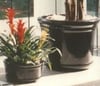 Portofino Ceramic and Fiberglass Planters