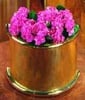 Brass-Copper-Bronze Wall Semicircular New Deco Planter