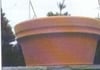 Low Rolled Rim Design Poly Planters