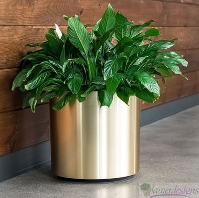 Brushed or Polished Metalized Chrome or Brass finish (ILM) Interior Landscape Containers