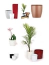 Plastic Planters