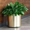 Brushed or Polished Metalized Chrome or Brass finish (ILM) Interior Landscape Containers