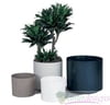 PLASTIC CYLINDERS - COLOR MOLDED