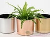 Brushed or Polished Metalized Chrome or Brass finish (ILM) Interior Landscape Containers