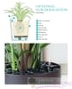 Phoenix Planter Collection-Cylinder,Squares, more