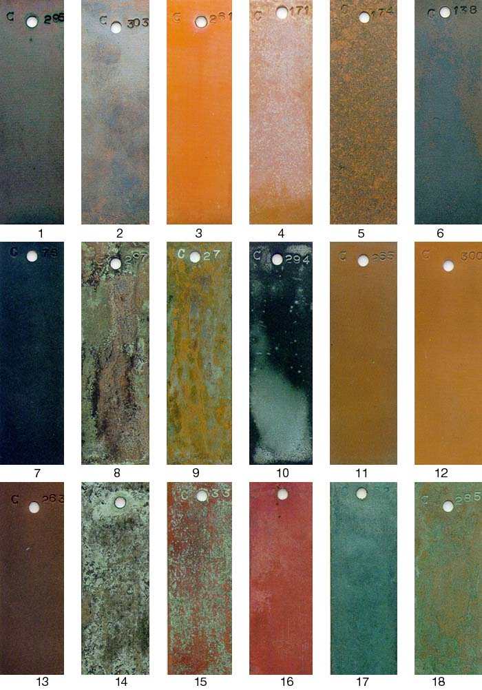 PATINAS - 5